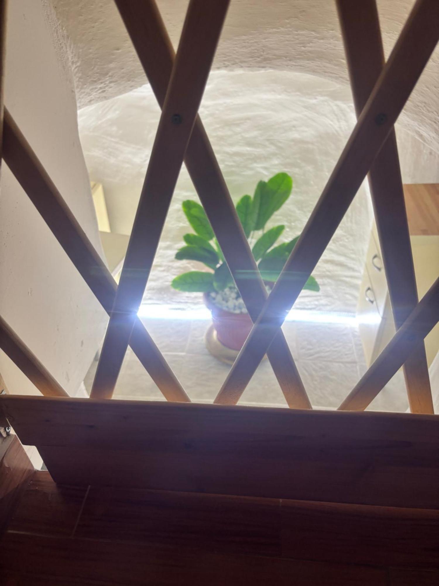 Santa Lucia Villa Rutigliano Bagian luar foto